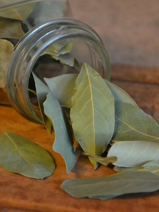 Can You Eat Bay Leaves In Soup