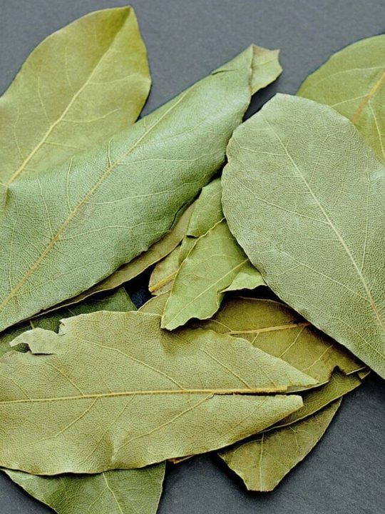 Can You Eat Cooked Bay Leaves