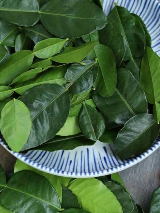 What Can I Substitute For Kaffir Lime Leaves