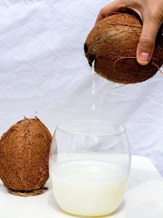 Is Coconut Milk In The Can The Same As The Carton