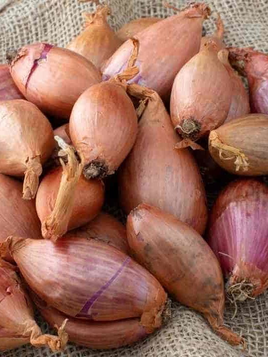 What Can I Substitute For Shallots