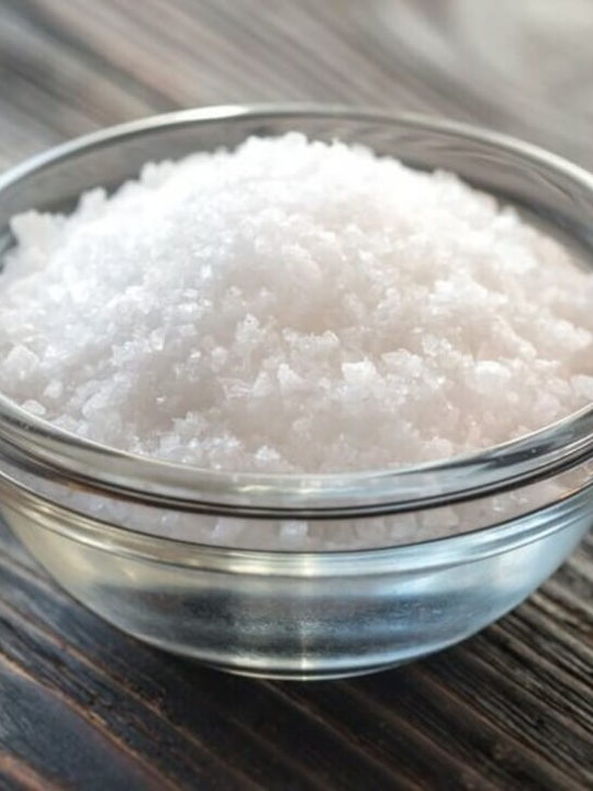 Can I Substitute Regular Salt For Kosher Salt