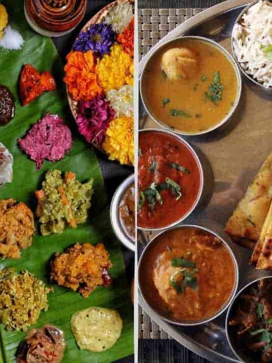 What Is The Difference Between Northern And Southern Indian Food