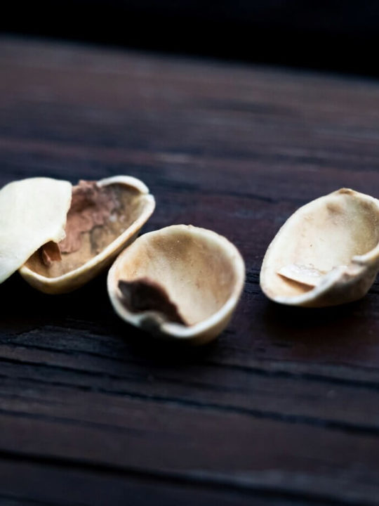 Can You Eat Pistachio Shells