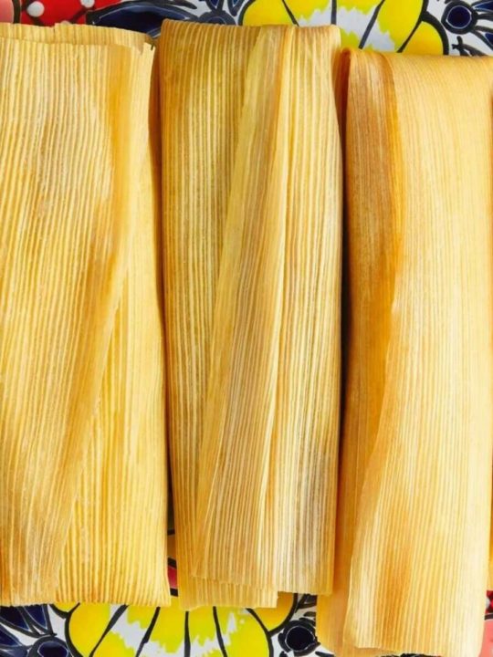 Can You Freeze Cooked Tamales