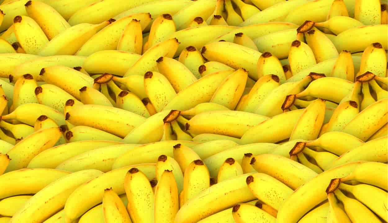 Are Bananas Safe To Eat During Pregnancy – Power Up Cook