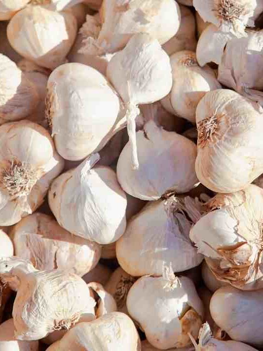 Benefits Of Eating Raw Garlic In The Morning