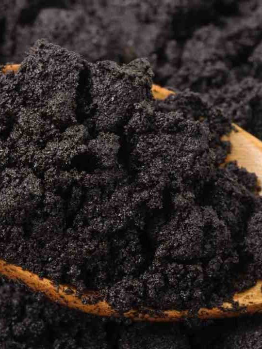 Can Coffee Grounds Go Down The Garbage Disposal