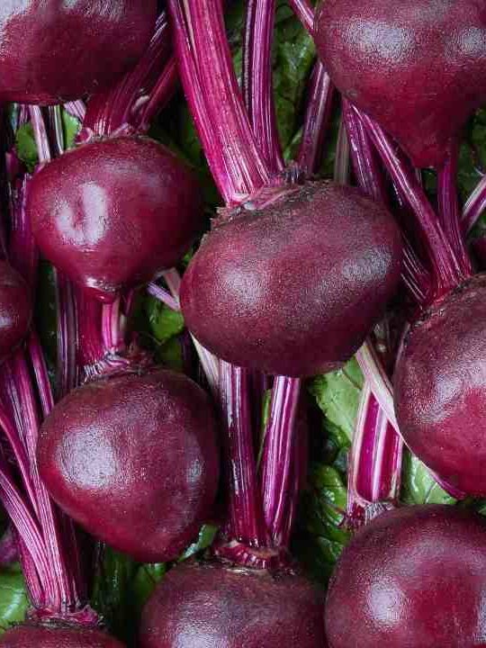 Can You Eat Beetroot Raw