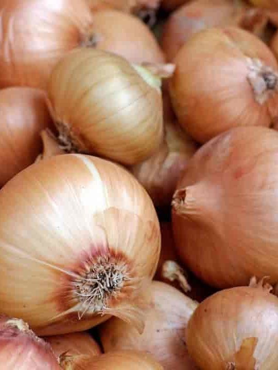 Can You Get Sick From Eating Old Onions