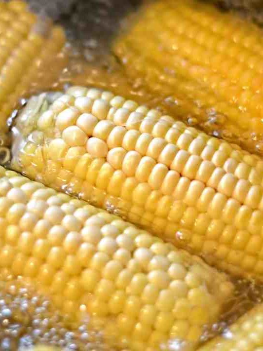 How Do You Know When Corn Is Done Boiling