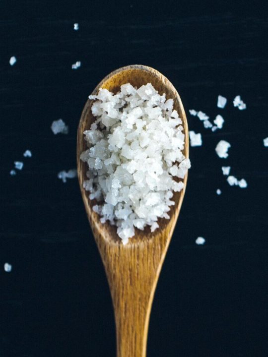 Why Does Salt Preserve Food