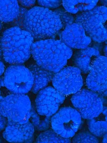 Are Blue Raspberries Real