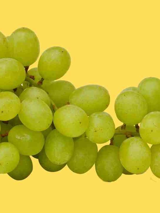Are Grapes Okay To Eat Before Bed