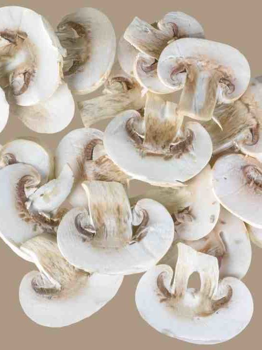 Are Mushrooms Safe To Eat During Pregnancy