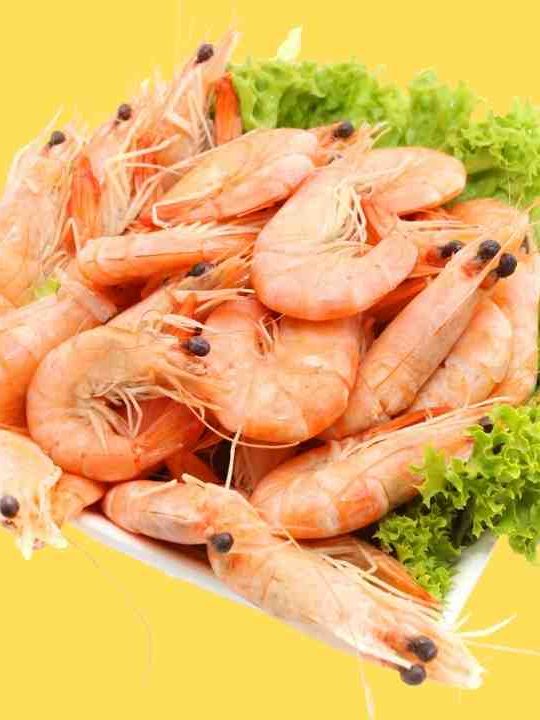 Are Prawns Safe To Eat During Pregnancy