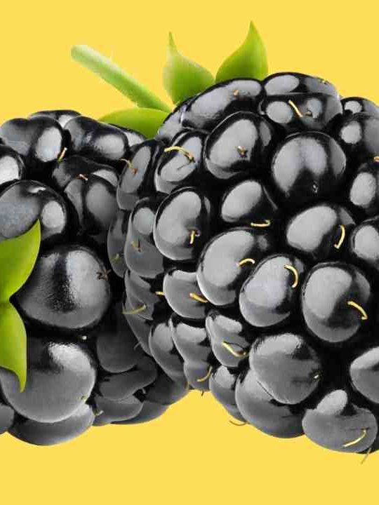 Can You Eat Blackberries Whole