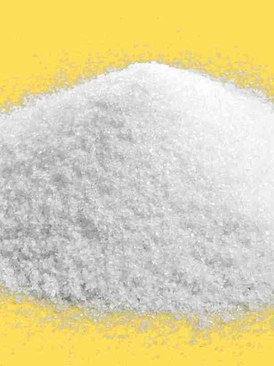 How Does Salt Concentration Affect Enzyme Activity