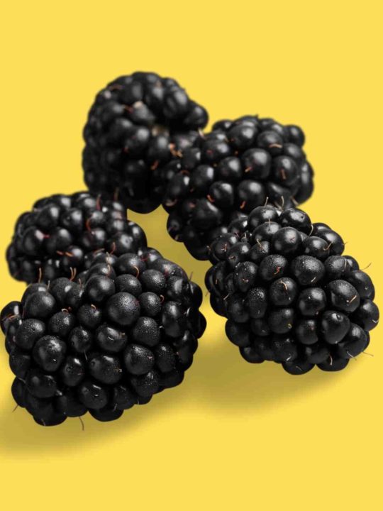 How Long Are Blackberries Good For
