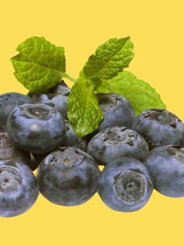 How To Know If Blueberries Are Spoiled