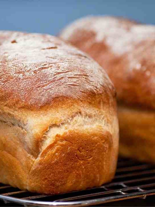 Is It Safe To Eat Over Proofed Bread
