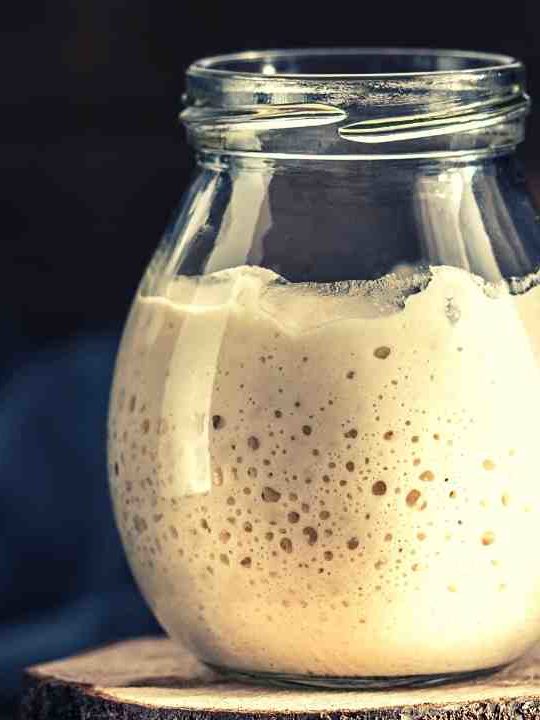 What Happens When Adding Yeast To Sourdough Starter