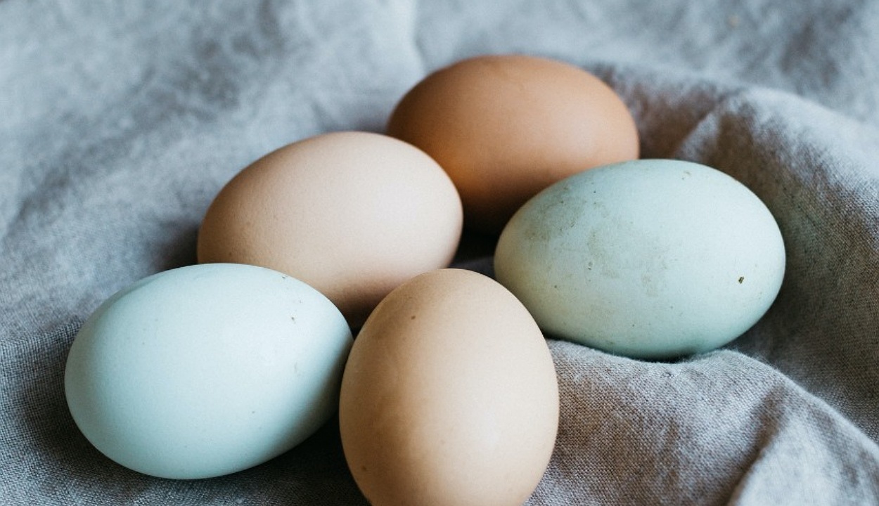  keeping hard-boiled eggs between 40°F and 140°F promotes fast bacterial growth. 