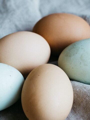 Do Eggs Expire? (Know It All)