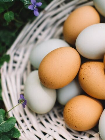 How Many Hard-Boiled Eggs Should You Eat?