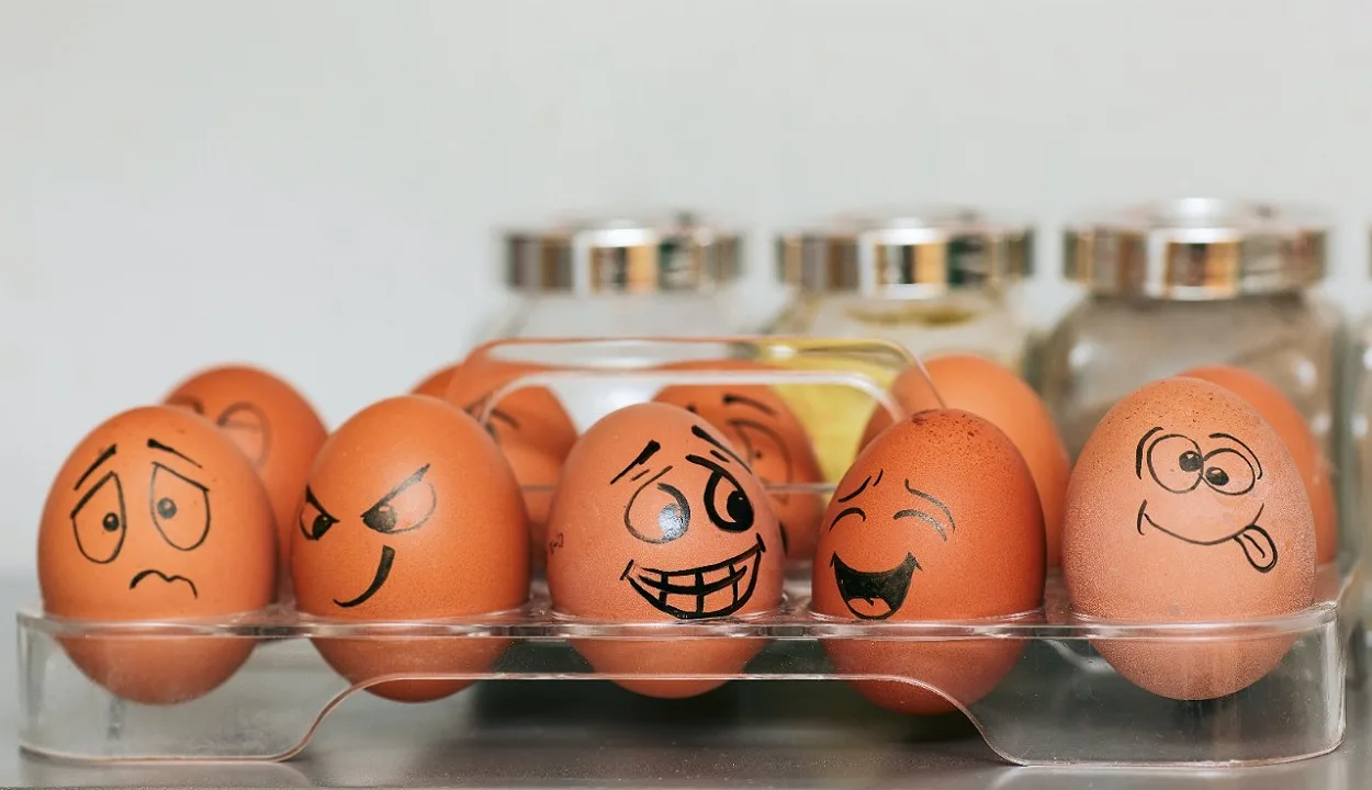 It is essential to know the basic facts about eggs before storing them